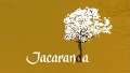 Jacaranda