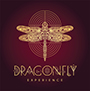 Dragonfly Experience 